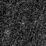 F150W image, 3.2 arcsec across, north up