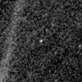 F115W image, 3.2 arcsec across, north up