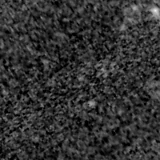 F090W image, 3.2 arcsec across, north up