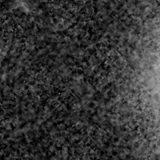 F115W image, 3.2 arcsec across, north up
