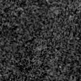 F090W image, 3.2 arcsec across, north up