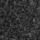 F115W image, 3.2 arcsec across, north up
