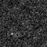 F090W image, 3.2 arcsec across, north up