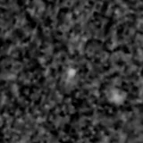 F277W image, 3.2 arcsec across, north up