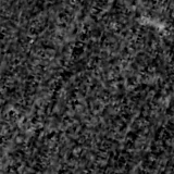 F090W image, 3.2 arcsec across, north up