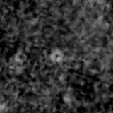 F277W image, 3.2 arcsec across, north up