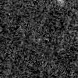 F115W image, 3.2 arcsec across, north up