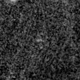 F115W image, 3.2 arcsec across, north up