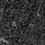 F150W image, 3.2 arcsec across, north up