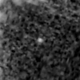 F277W image, 3.2 arcsec across, north up