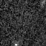 F115W image, 3.2 arcsec across, north up