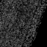 F150W image, 3.2 arcsec across, north up