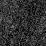 F090W image, 3.2 arcsec across, north up