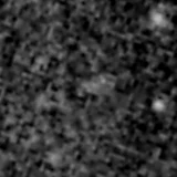 F277W image, 3.2 arcsec across, north up