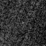 F090W image, 3.2 arcsec across, north up