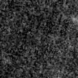 F115W image, 3.2 arcsec across, north up