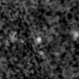 F277W image, 3.2 arcsec across, north up
