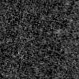 F090W image, 3.2 arcsec across, north up