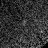 F090W image, 3.2 arcsec across, north up