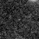 F115W image, 3.2 arcsec across, north up