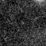 F150W image, 3.2 arcsec across, north up