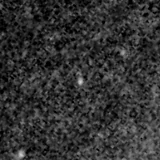 F115W image, 3.2 arcsec across, north up