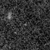 F115W image, 3.2 arcsec across, north up
