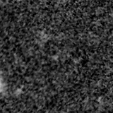 F150W image, 3.2 arcsec across, north up