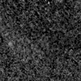 F115W image, 3.2 arcsec across, north up