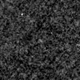 F090W image, 3.2 arcsec across, north up