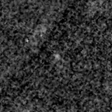 F115W image, 3.2 arcsec across, north up