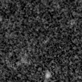 F090W image, 3.2 arcsec across, north up