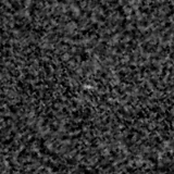 F115W image, 3.2 arcsec across, north up