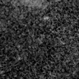 F115W image, 3.2 arcsec across, north up