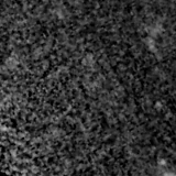 F115W image, 3.2 arcsec across, north up