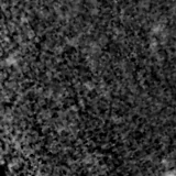 F150W image, 3.2 arcsec across, north up
