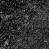 F115W image, 3.2 arcsec across, north up