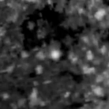 F356W image, 3.2 arcsec across, north up