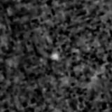 F277W image, 3.2 arcsec across, north up