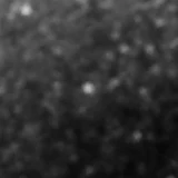 F356W image, 3.2 arcsec across, north up