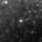 F444W image, 3.2 arcsec across, north up