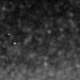 F277W image, 3.2 arcsec across, north up