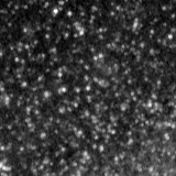 F115W image, 3.2 arcsec across, north up
