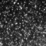 F150W image, 3.2 arcsec across, north up
