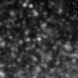 F277W image, 3.2 arcsec across, north up