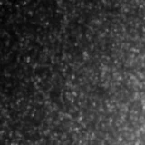 F115W image, 3.2 arcsec across, north up