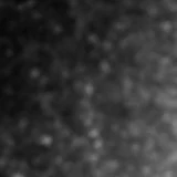 F356W image, 3.2 arcsec across, north up