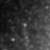 F444W image, 3.2 arcsec across, north up