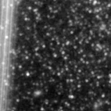 F150W image, 3.2 arcsec across, north up