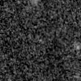 F150W image, 3.2 arcsec across, north up